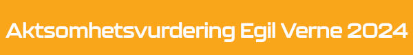 Aktsomhetsvurdering