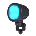 TYRI ARB LYS D8 BLUEPOINT