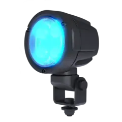 TYRI ARB LYS D8 BLUEPOINT